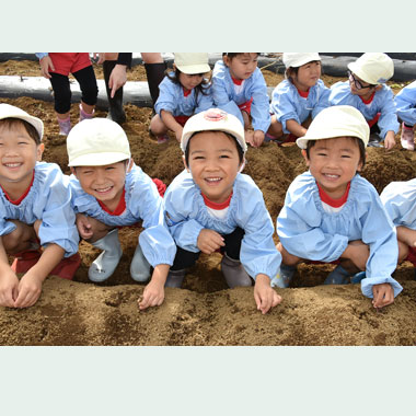 年少・ほし組さつまいもほり