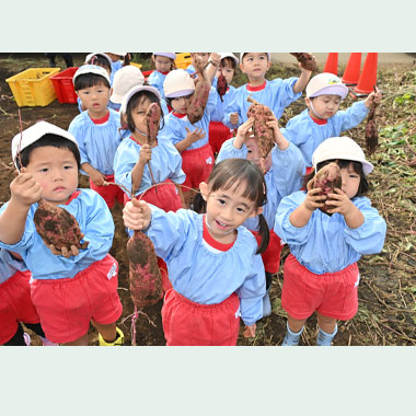 さつまいもほり